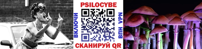 Галлюциногенные грибы Psilocybe  Саянск 